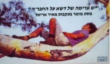 מאיר אריאל